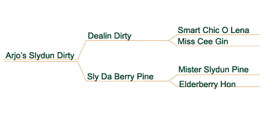 mavarick pedigree
